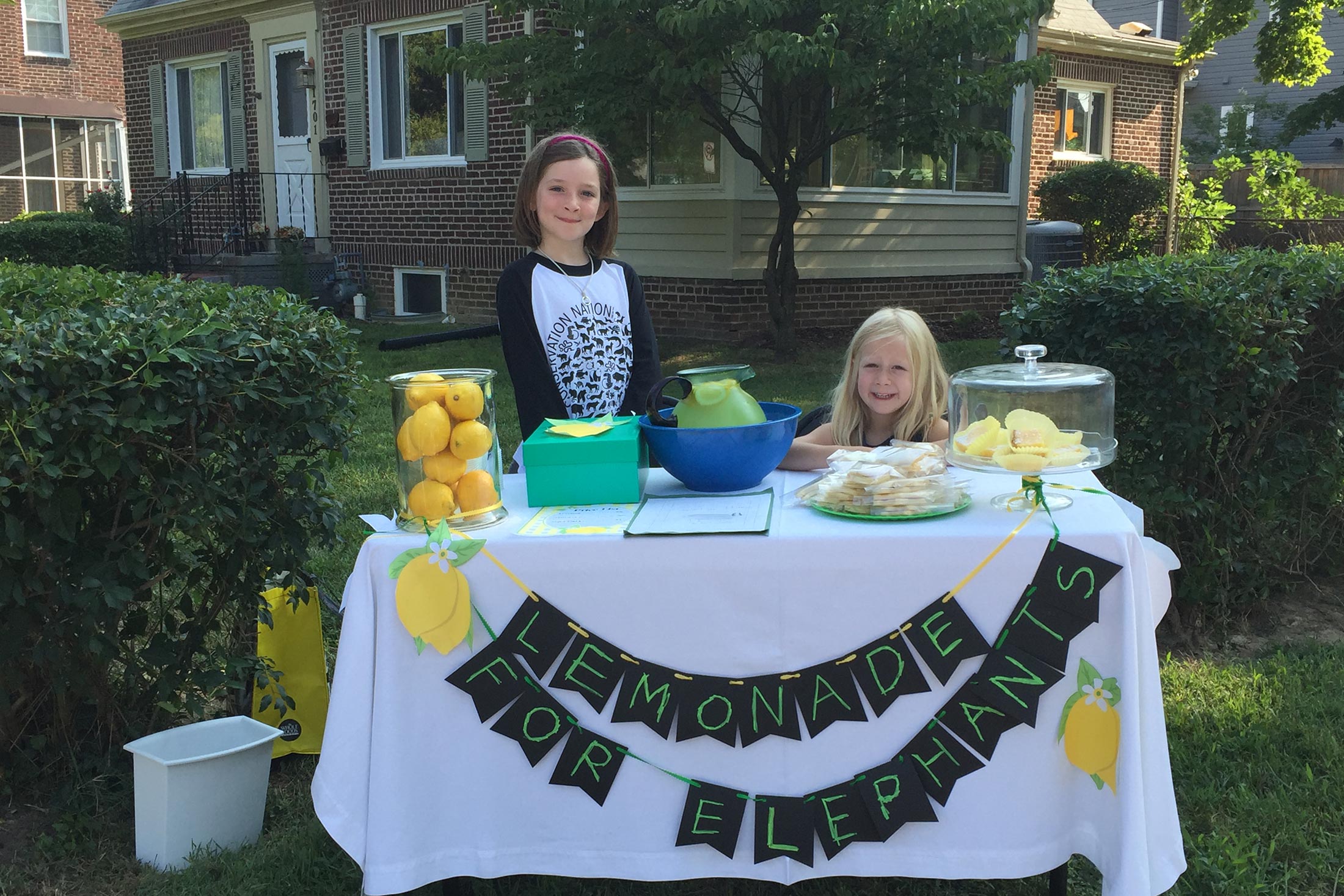 Julias lemonade stand