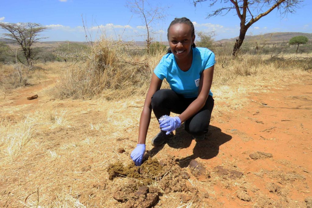 Dr. Maureen Kamau collecting samples in the field