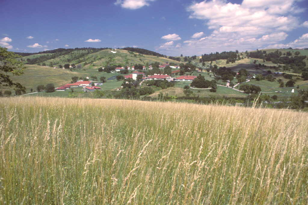 red-roofed buildings on a mountain with long grass in the foreground