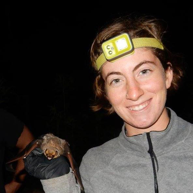 Conservation Nation grantee Morgan Hughes wearing a headlamp and holding a bat