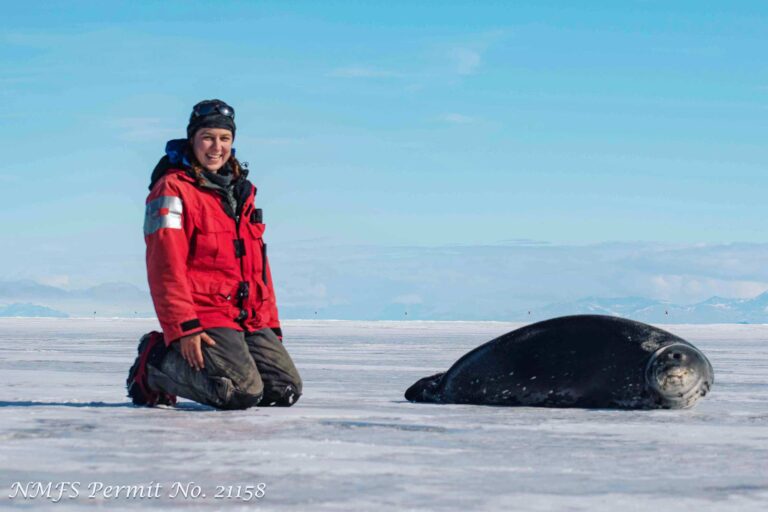 Conservation Nation grantee Parker Levinson on the ice in Antarctica next to a gray seal