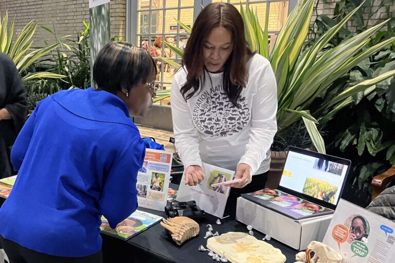 two Black women looking at a phone while standing at a table filled with educational material