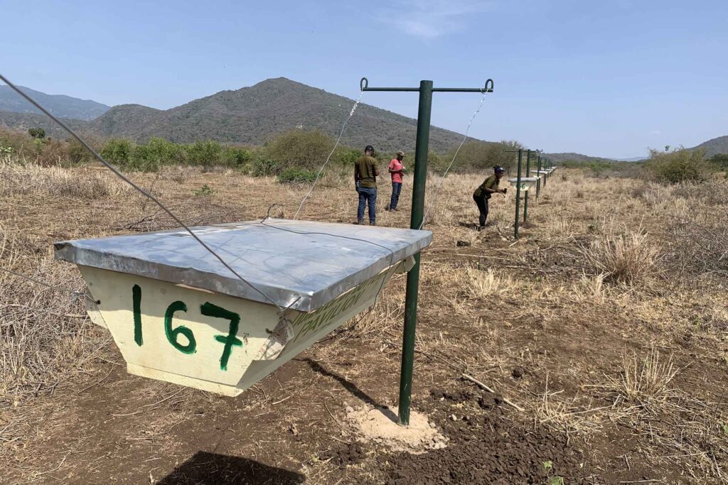 Three people working on a series of bee hive fences