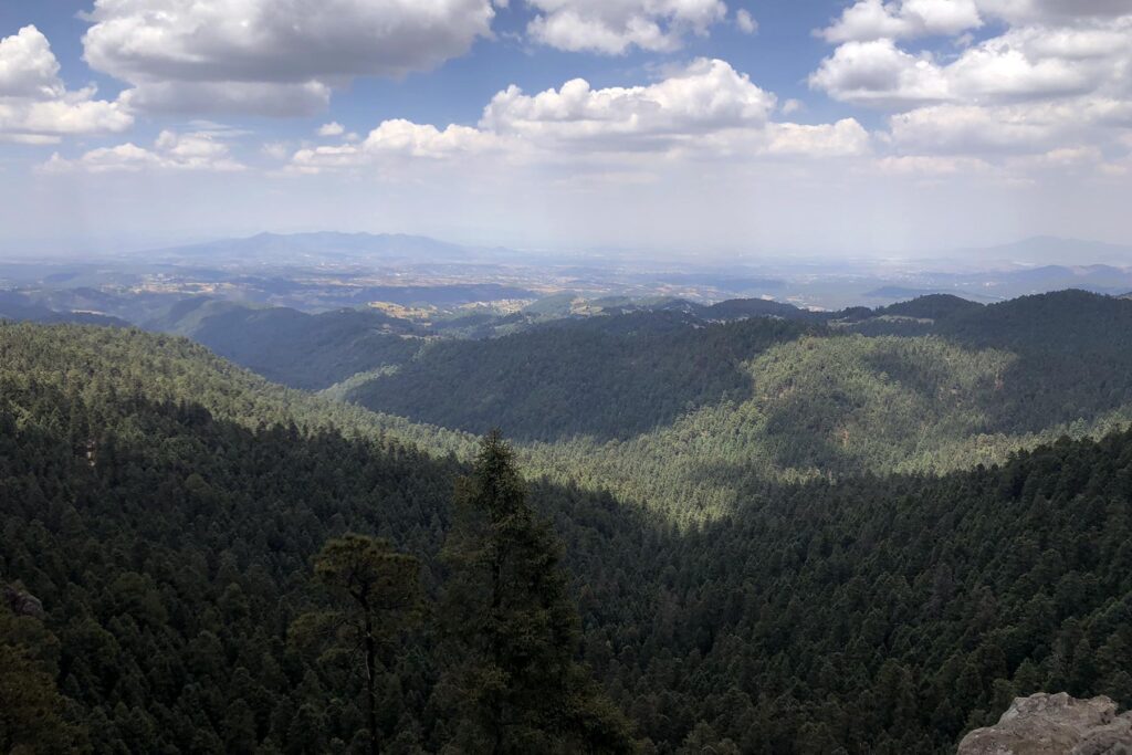 a high angle view of a forested area with clouds in the sky