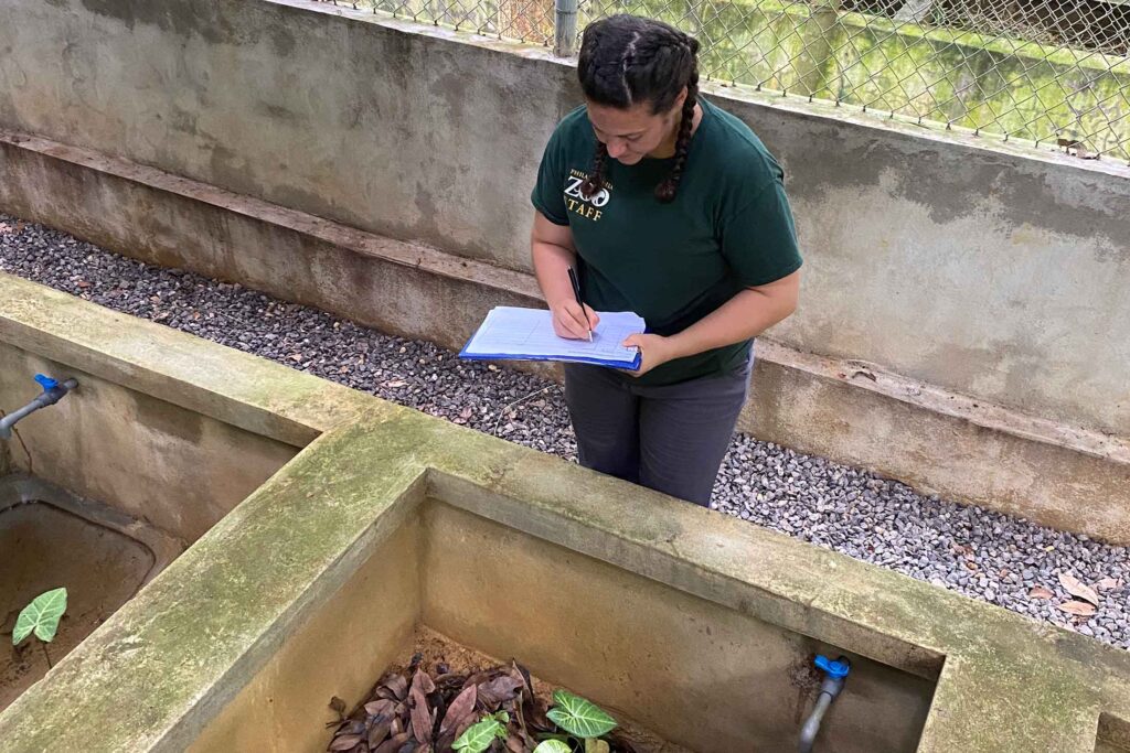 woman wearing a green shirt and taking notes while observing turtle behavior