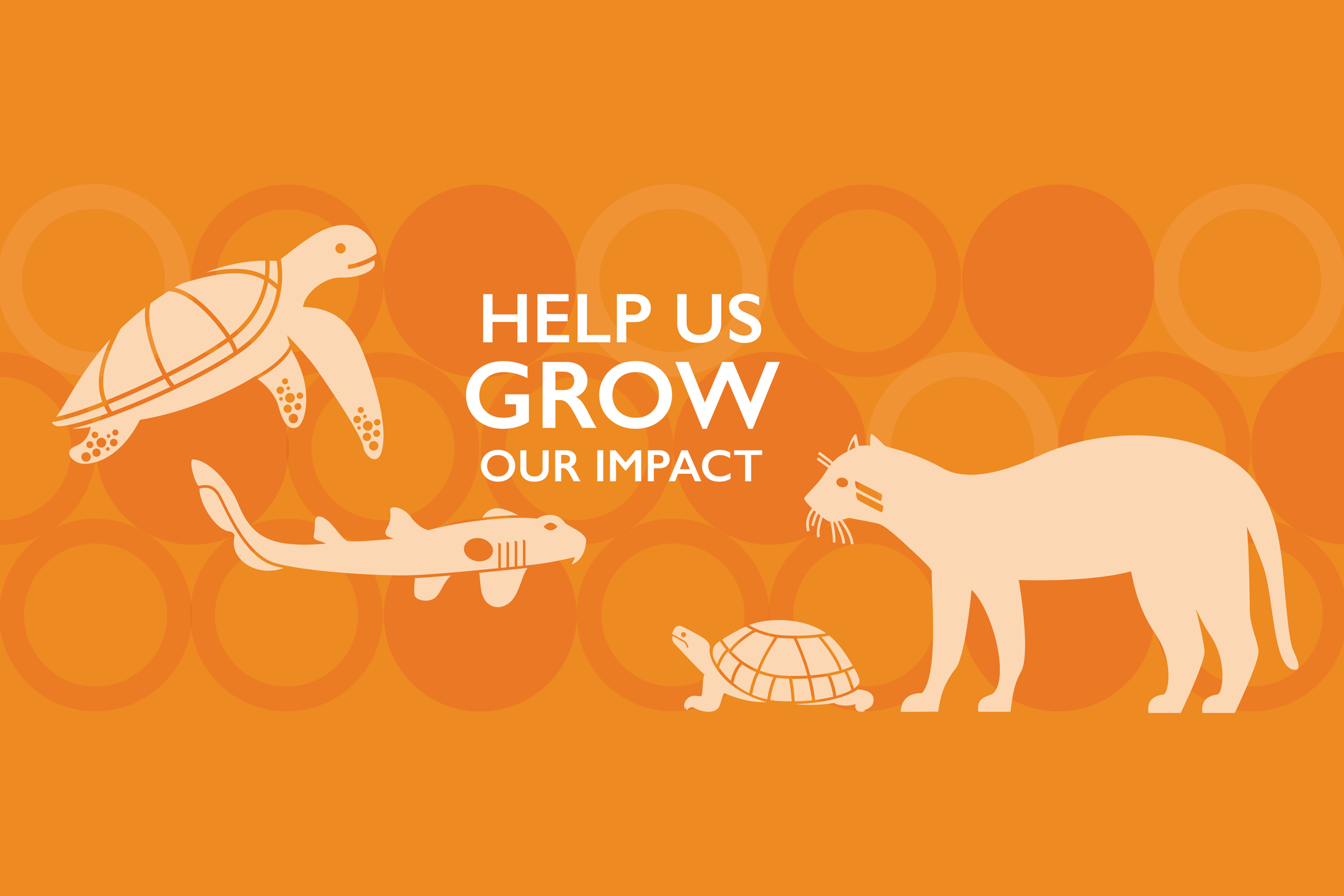 illustration of a sea turtle, shark, tortoise, and ocelot with an orange background and circles with the words help us grow our impact superimposed