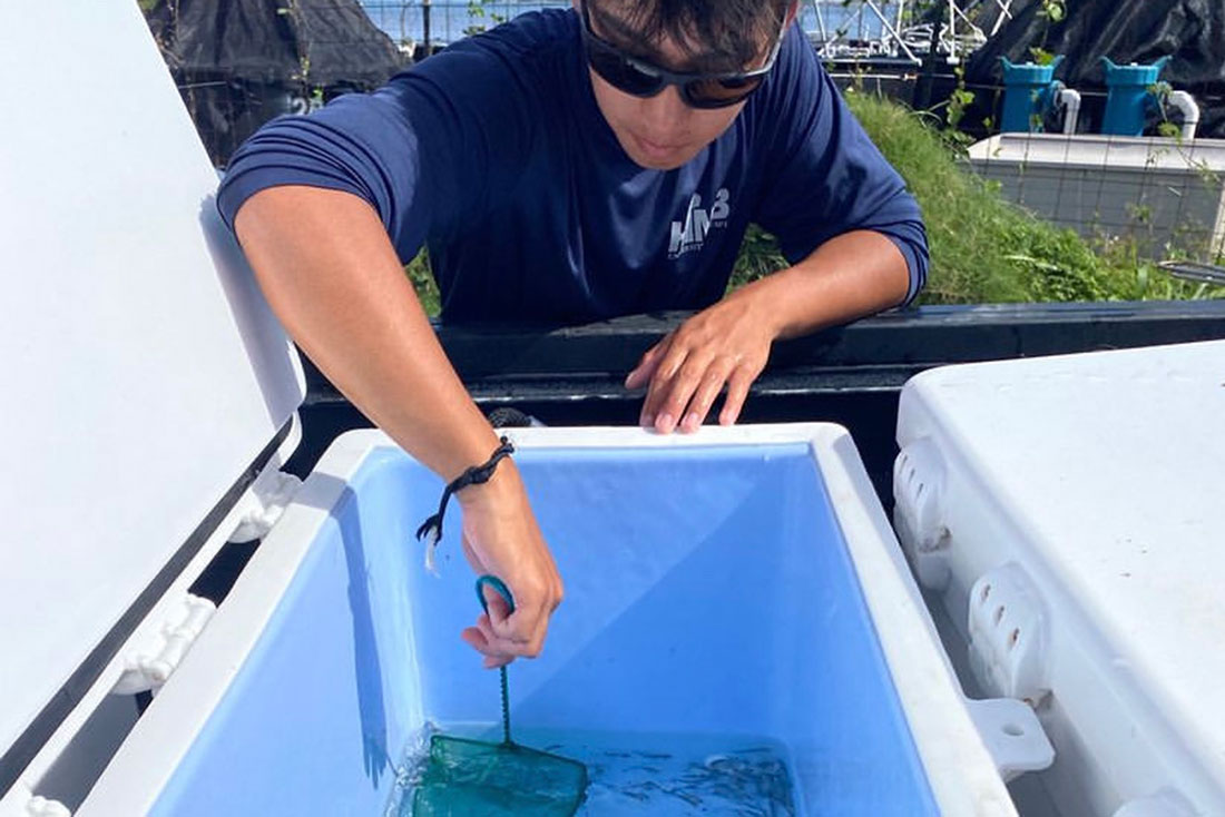 a young man wearing sunglasses and a blue shirt uses a net to capture small fish from a cooler