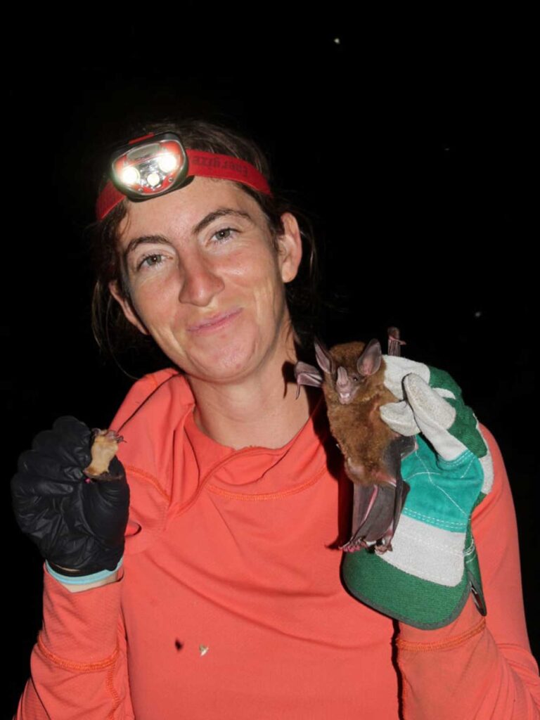 a female scientists wearing a headlamp and gloves holds up two species of bats