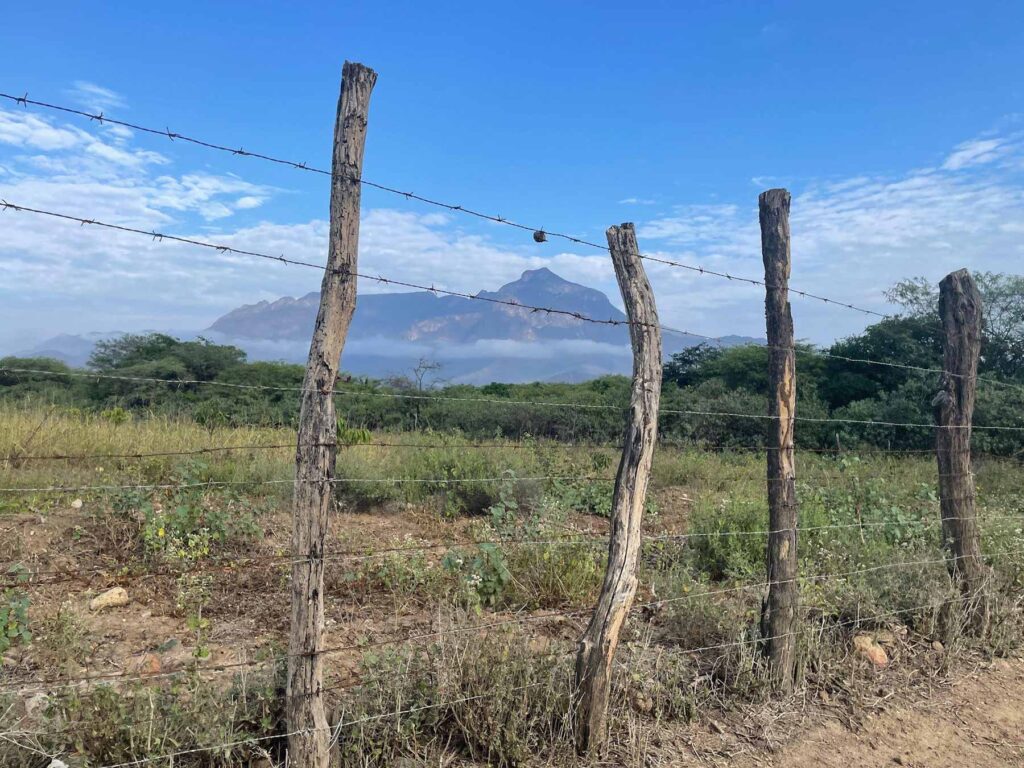 a landscape scene showing a dirt road with a barb wire fence and mountains in the background