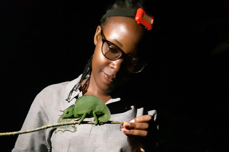 a Black woman wearing glasses and a red head lamp holds a stick that has a green chameleon perched on it