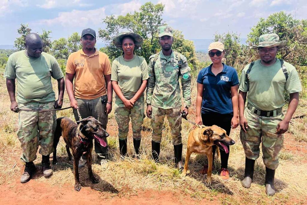 a group of six people with two dogs on leashes standing in grass and dirt with trees in the background