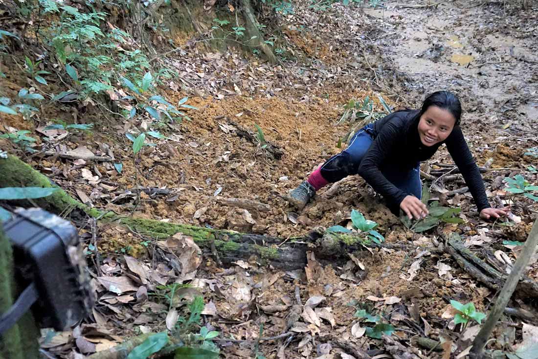 woman wearing outdoor gear kneeling in a wooded area checking on a camera trap that's attached to a tree