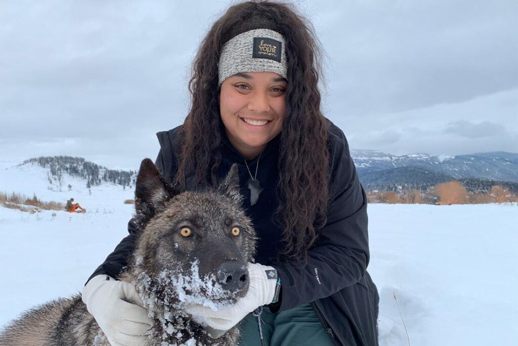 a woman wearing cold weather gear kneeling in the snow while holding a sedated wolf