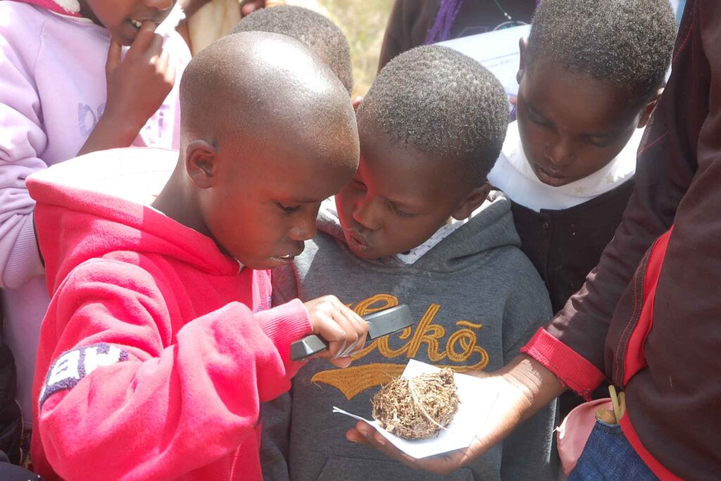 several small Black children using a magnifying device to examine a sample held by an adult