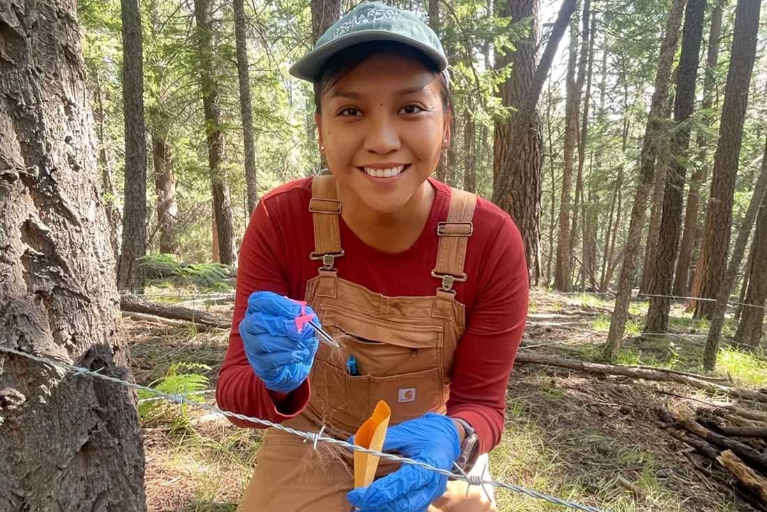 a woman wearing a green baseball cap, red shirt, and brownish overalls uses tweezers while wearing blue gloves to collect a sample of fur in the woods