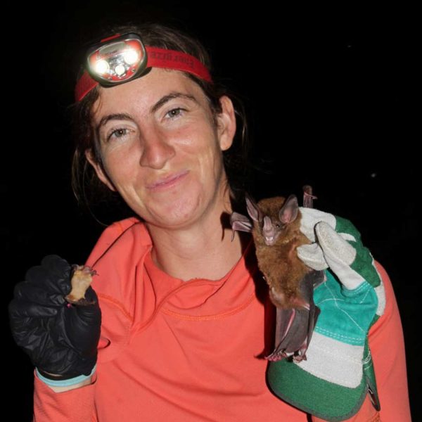 a female scientists wearing a headlamp and gloves holds up two species of bats