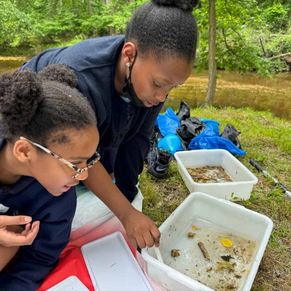 two young students sit at the edge of a stream and look at things that were collected in the water